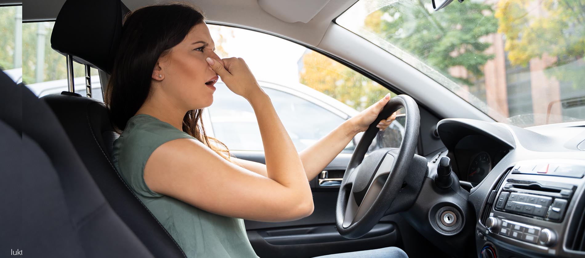 Ta Bort Dalig Lukt I Bilen